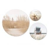 Wandbild Strandkorb, Seestern und Dünen an der Ostsee Set (3-teilig) - Alu-Dibond Set (3-teilig) - Alu-Dibond Rund 