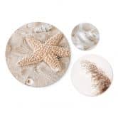 Wandbild Muscheln und Seestern am Strand Set (3-teilig) - Alu-Dibond Rund 