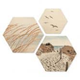 Hexagon Holzbild Stranddünen am Meer Set (3-teilig) 