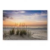 Spritzschutz Düne am Strand bei Sonnenuntergang 