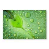 Crédence Foto - Cœur de goutte d'eau sur feuille verte 