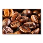 Spritzschutz Coffee 4 