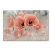 Spritzschutz Delgado - Mohn in Pastell 
