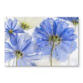 Spritzschutz Disher - Blue Frozen 