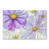 Spritzschutz Disher - Frozen Flowers 