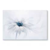 Spritzschutz Parker - Frozen Flower 