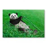 Spritzschutz Ben Heine - Glücklicher Panda 
