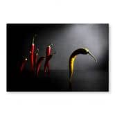 Spritzschutz Ivanova - Hit the road, Chilipepper 