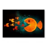 Spatscherm Ianeva - Sweet Orange 