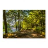 Spritzschutz Waldweg am Fluss 