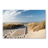 Spritzschutz - An der Ostsee 