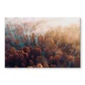 Crédence Forêt d'automne dans le brouillard - Ioricon 