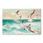 Spatscherm Zeemeeuwen op het strand - SpaceFrog Designs 