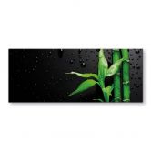 Crédence - Bamboo over Black- Panorama horizontal 