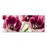 Spritzschutz Bsmart - Tulips 
