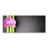 Crédence - Orchid and Bamboo - Panorama (horizontal) 