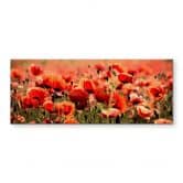 Spritzschutz Poppy Field - Panorama 