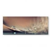 Spritzschutz Dmitry - Story of a Waterdrop - Panorama 