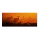 Spatscherm Herten bij Zonsondergang - Panorama 