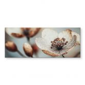 Spritzschutz Boho Trockenblume Makro - Treechild - Panorama 