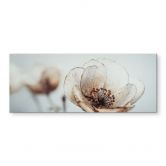 Spritzschutz Trockenblüte Beige Naturpoesie - Treechild - Panorama 