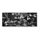 Spritzschutz van Gogh - Mandelblüte - schwarz - Panorama 