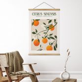 Stoffbild Boho Orangenbaum - Citrus Sinensis - Tunaboylu 