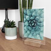 Tischaufsteller Agave 02 