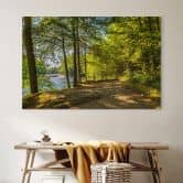 Wandbild Waldweg am Fluss - Alu-Dibond 