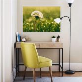 Wallprint - After Rain 