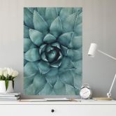 Wallprint Agave 02 
