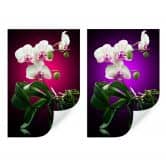 Zelfklevende Poster - Beautiful Orchid 