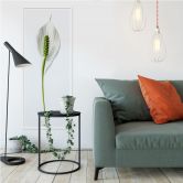 Wallprint Friedenslilie 