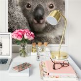 Wallprint - Cuddly Koala 