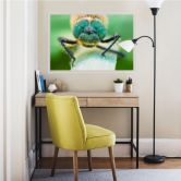 Wallprint Sabol - Morgentau 