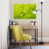 Wallprint - Wasserperlen 