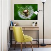Wallprint Pusteblume im Wind 