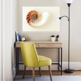 Wallprint Nautilus 