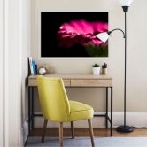 Wallprint Waterdrop of Life 