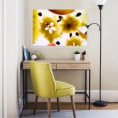 Wallprint Abstract Fruits 