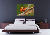 Zelfklevende Poster - Lieveheersbeestjes Liefde 