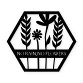 Acryldeko Blumen im Hexagon - No Rain No Flowers 