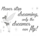 Wallsticker Never Stop Dreaming 