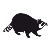 Muursticker Wasbeer 01 