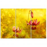 Leinwandbild 3 teilig, Verdosserte Tulpenblüten 