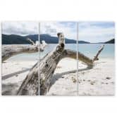 Leinwandbild 3-teilig, Meer Sand Strand Baum 