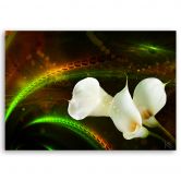 Canvasbillede, Kalien blomsterplanter 