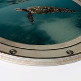 Holzbild 3D-Optik Bullauge - Schildkröte seitlich - Rund 