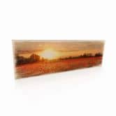 Holzschild Mohnfeld im Sonnenuntergang 