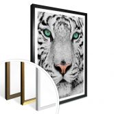 Poster Gorgeous Sumatran Tiger 